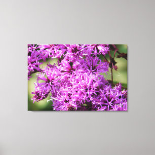 Floral Fantasy Canvas Print