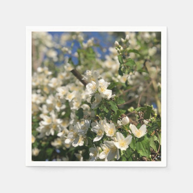 Floral Feminine  Napkins (Front)