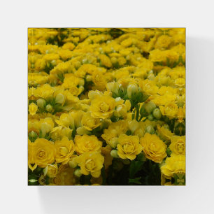 Floral Field Yellow Blooms Photo Delicate Flower Paperweight