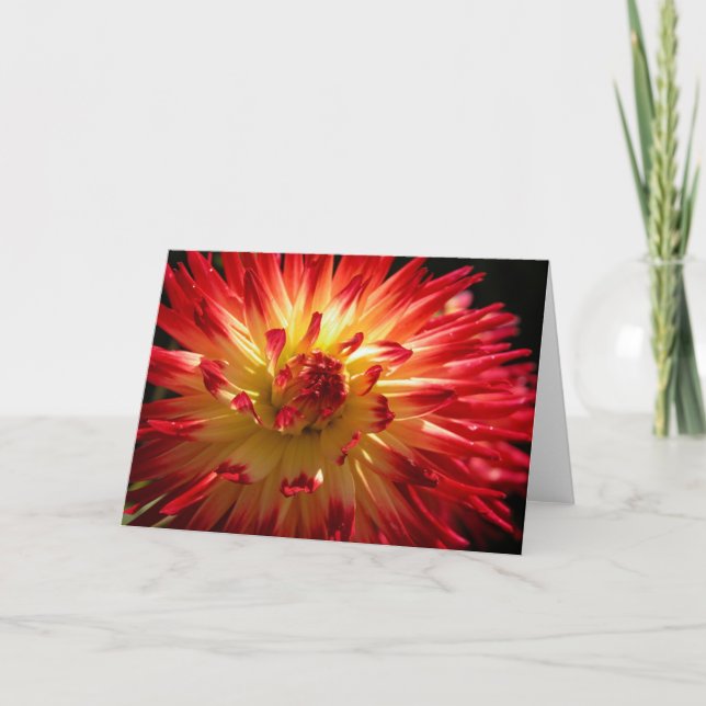 Floral Firework Card (Front)