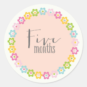 Five Months Crafts Party Supplies Zazzle