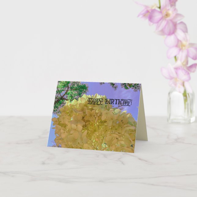 Floral flower hydrangea yellow pretty BIRTHDAY Card (Orchid)