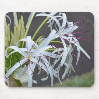 Floral Fragrance Mouse Pad