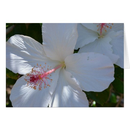 Floral Fragrance Note Card (Front Horizontal)