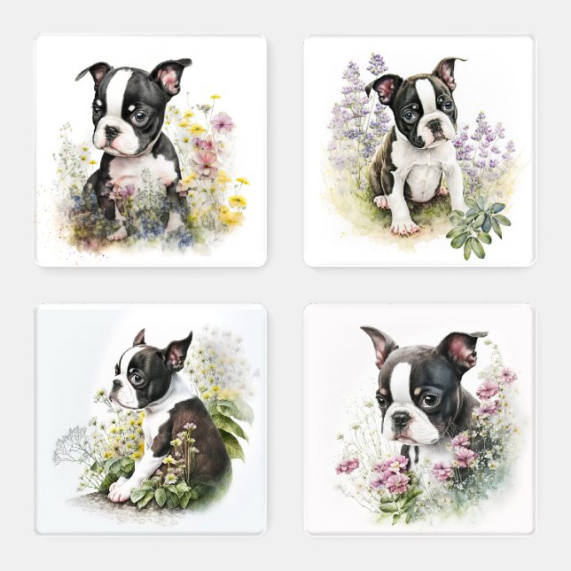 Floral Garden Boston Terrier Puppy Coaster Set (Set)