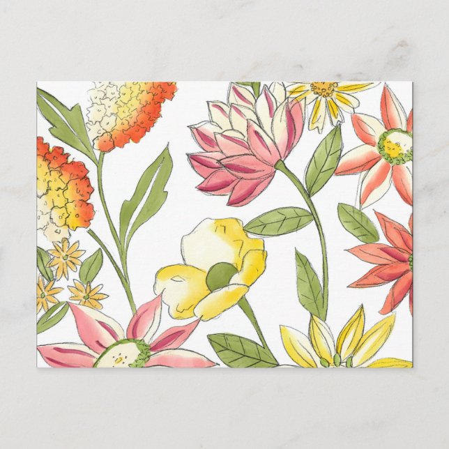 Floral Garden Design with White Background Postcard (Front)