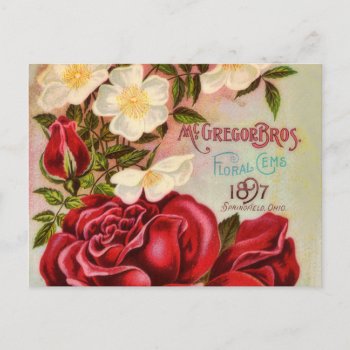 Floral Gem Roses Vintage Flower Catalog Cover Postcard by LeAnnS123 at Zazzle