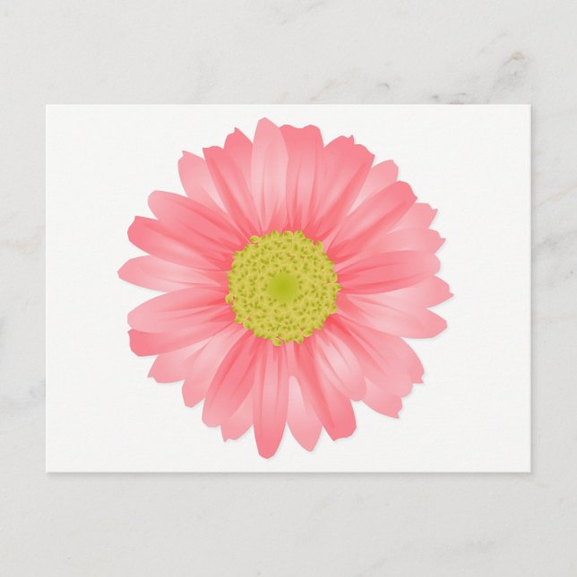 Floral Gerbera Daisy Pink & Yellow Flower Postcard (Front)
