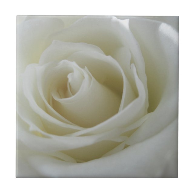 Floral Glow Ceramic Tile (Front)