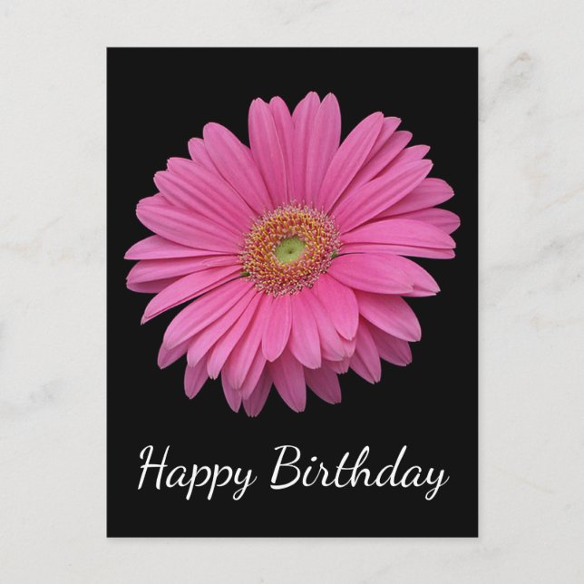 Floral Happy Birthday Pink Gerbera Daisy Black Postcard (Front)