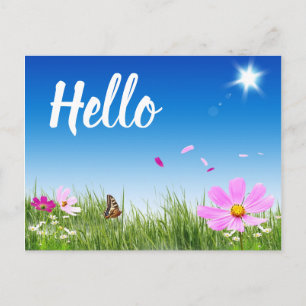 Floral Hello Daisy Butterfly Wildflowers Friends Postcard
