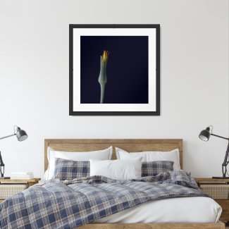 Floral Hidden Beauty