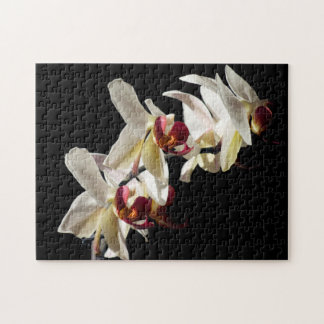 Floral Highlights of White Phalaenopsis Orchids Jigsaw Puzzle