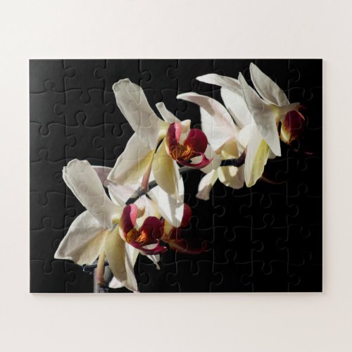 Floral Highlights of White Phalaenopsis Orchids Jigsaw Puzzle