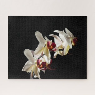 Floral Highlights of White Phalaenopsis Orchids Jigsaw Puzzle