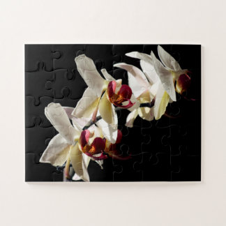Floral Highlights of White Phalaenopsis Orchids Jigsaw Puzzle