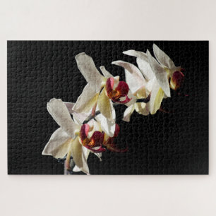 Floral Highlights of White Phalaenopsis Orchids Jigsaw Puzzle
