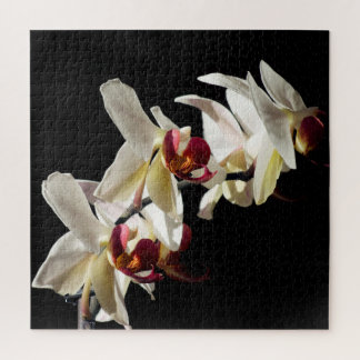Floral Highlights of White Phalaenopsis Orchids Jigsaw Puzzle