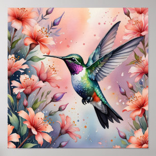 floral hummingbird poster