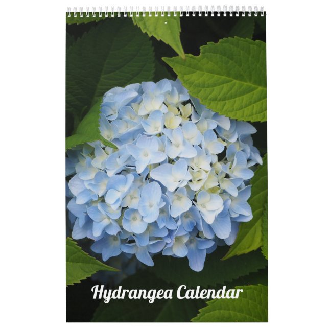 Floral Hydrangea Customizable Photo Calendar (Cover)