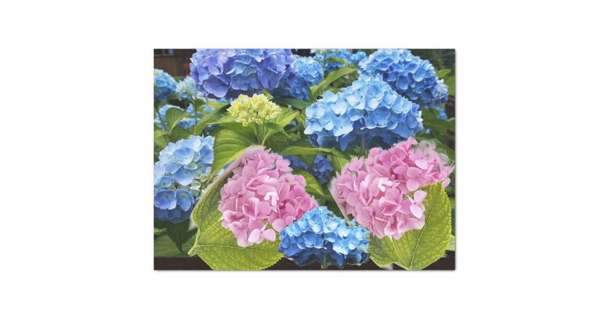 Floral Hydrangea Pink Blue Decoupage Craft Tissue Paper Zazzle