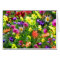 Floral Impressions