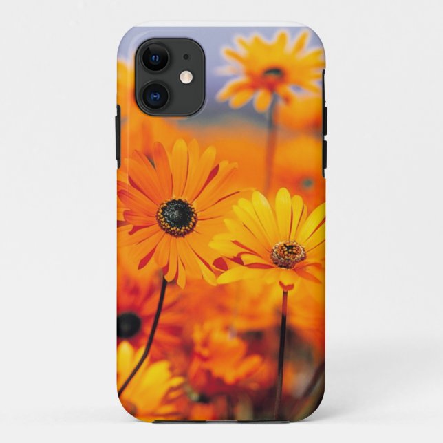 Floral Iphone 5 Universal Case (Back)