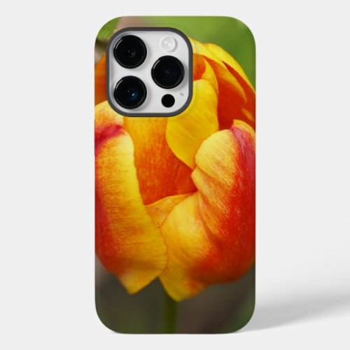 Floral iPhone case with colourful Tulip