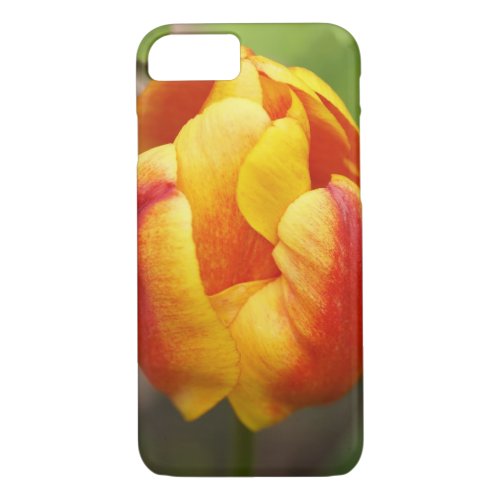 Floral iPhone case with colourful Tulip