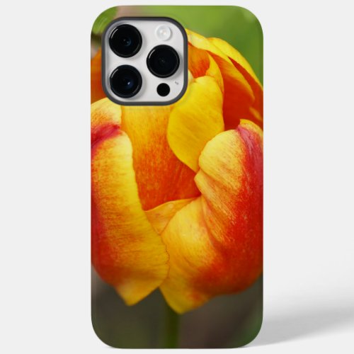 Floral iPhone case with colourful Tulip