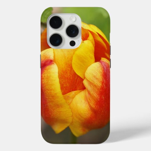 Floral iPhone case with colourful Tulip