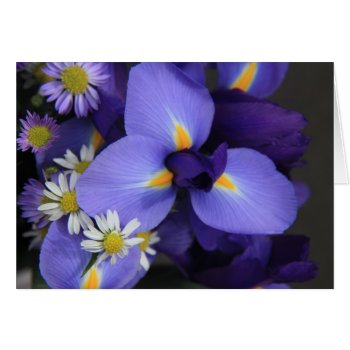 Floral  Iris And Mini Daisy  Blank Notes by PicturesByDesign at Zazzle