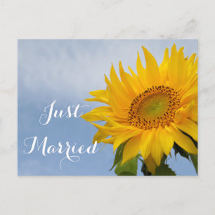 Floral Just Married Sunflower Yellow Blue Wedding Announcement Postcard