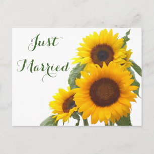 Floral Just Married Sunflower Yellow Green Wedding Announcement Postcard