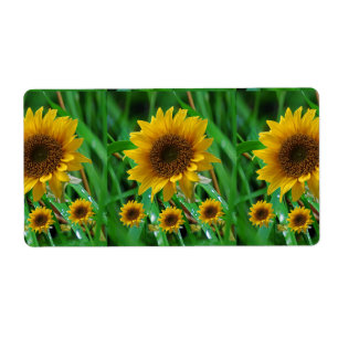 Floral Labels Sunflower