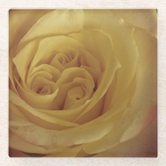 Floral Light Yellow Rose Photo Beautiful Flower Glass Coaster (Front)