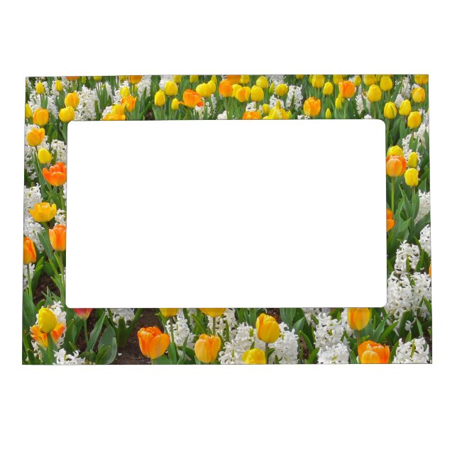 FLORAL MAGNETIC PIC.FRAME/ORANGE AND YELLOW TULIPS FRAME (Front)