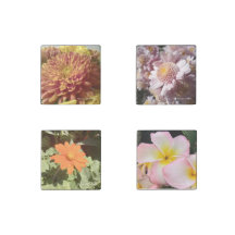 Floral Magnets