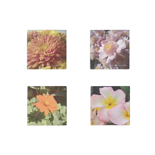 Floral Magnets (Front)