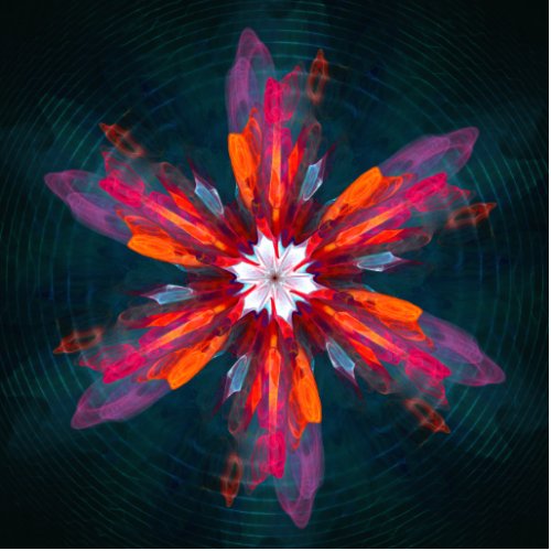 Floral Mandala Flowers Orange Red Blue Abstract Cutout