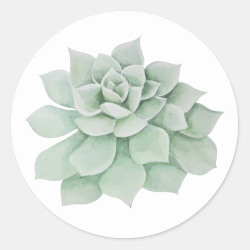Floral  Mint Green Succulent Cactus Classic Round Sticker