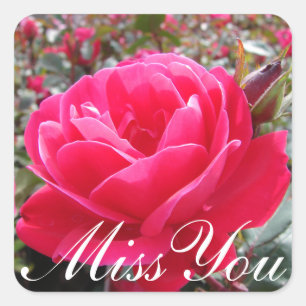 Floral Miss You Pink Rose Flower Square Sticker