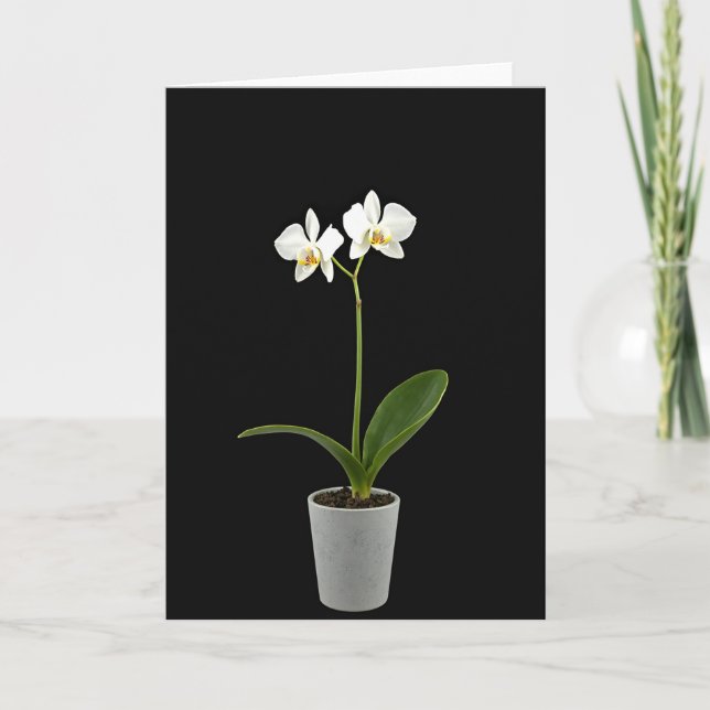Floral Mothers Day Beauty Card (Front)