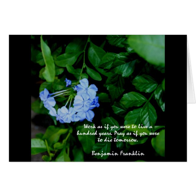 Floral motivational (Front Horizontal)