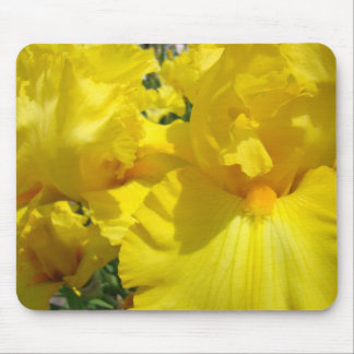Floral nature Botanical Garden mousepad Irises