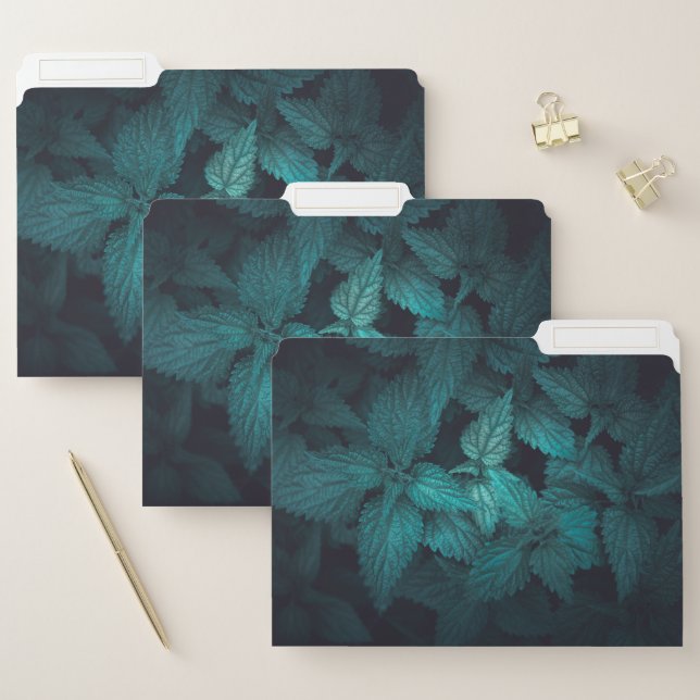 Floral Nature Photo File Folder (Set)