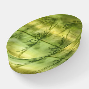 Floral Nature Photo Paperweight
