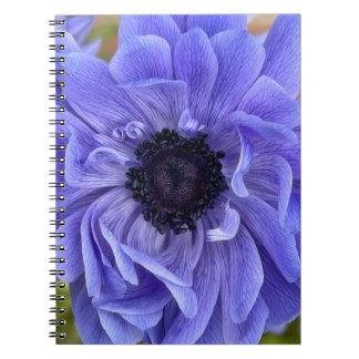 Floral Note Book