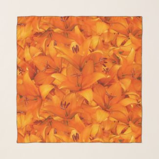 Floral Orange Garden Lily Photo
