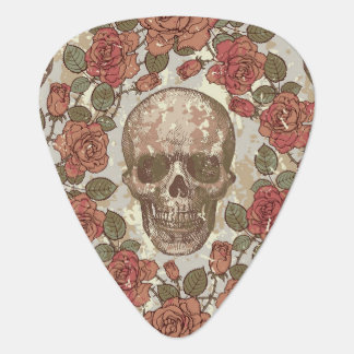 Floral Ornate Skull Guitar Pick